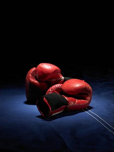 Cleto Reyes Training Gloves with Laces